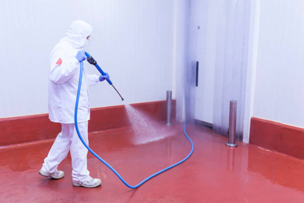 Best Concrete Surface Cleaning in South Kensington, MD