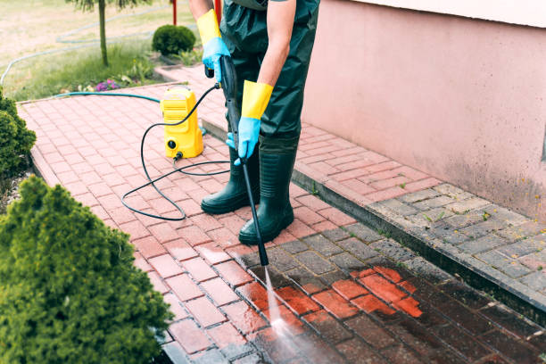 Best Gutter Cleaning and Brightening in South Kensington, MD